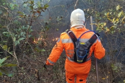 Trabalho integrado dos bombeiros e outros órgãos potencializa combates aos incêndios florestais
