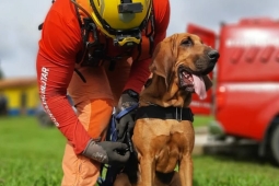 8°BBM envia militar e seu cão para participar de curso no estado de São Paulo