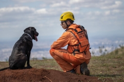Cães e bombeiros ajudam a solucionar 4 casos de desaparecimento em apenas 16 dias