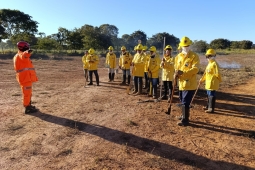 Bombeiros de Unaí reforçam atuação em incêndios florestais em treinamento com Brigadistas Florestais