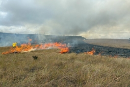 Bombeiros de Conselheiro Lafaiete em parceria com o IEF implementam o Manejo Integrado do Fogo no Parque Estadual Serra de Ouro Branco