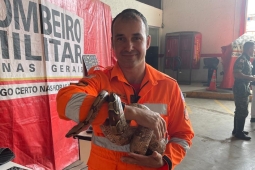 2º Pelotão de Bombeiros Militar de Caratinga realiza treinamento de Manuseio e Contenção de Animais Peçonhentos