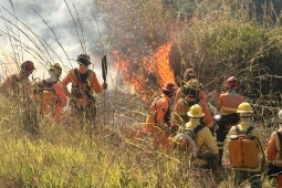 Corpo de Bombeiros Militar abre o Mês do Meio Ambiente com ação preventiva contra incêndios florestais em Belo Horizonte