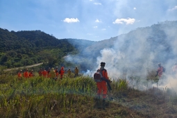 Corpo de Bombeiros Militar e IEF promovem queima prescrita no Parque Estadual Mata do Krambeck
